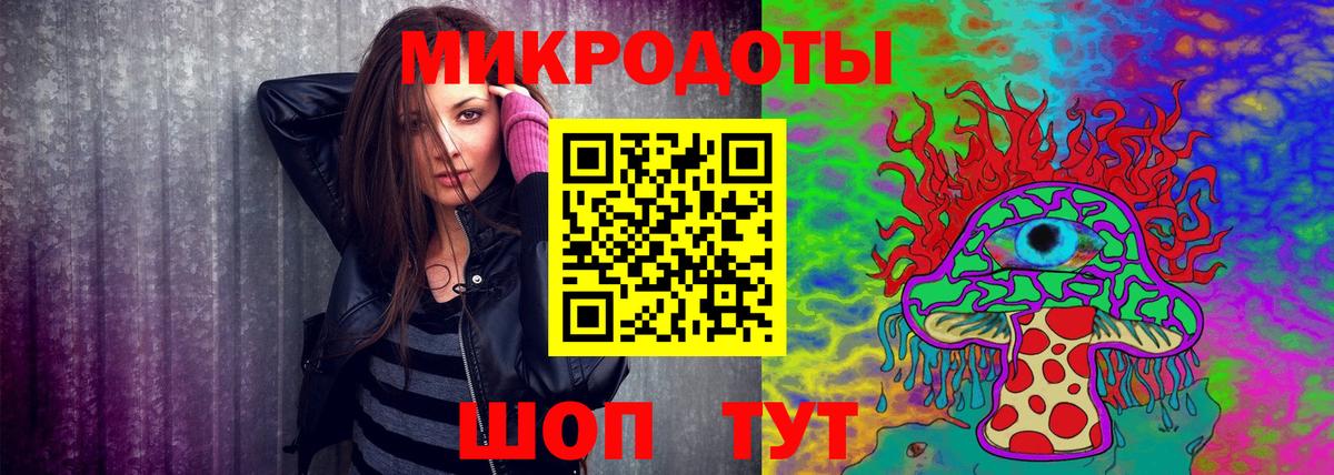Камень-на-Оби  продажа наркотиков  Вход с VPN  Псилоцибиновые грибы прущие грибы  Псилоцибиновые грибы GOLDEN TEACHER 