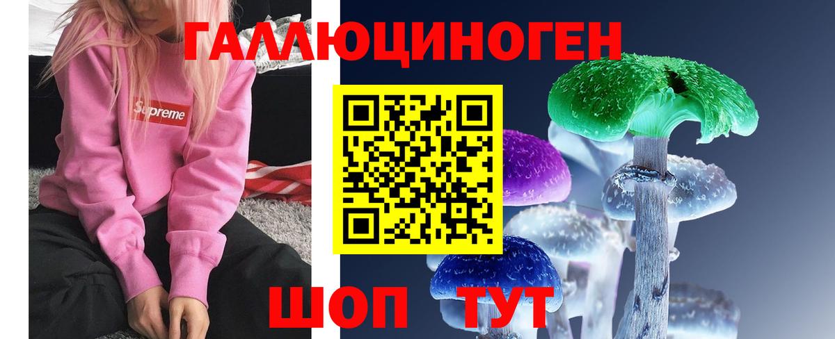 Псилоцибиновые грибы мухоморы Камень-на-Оби