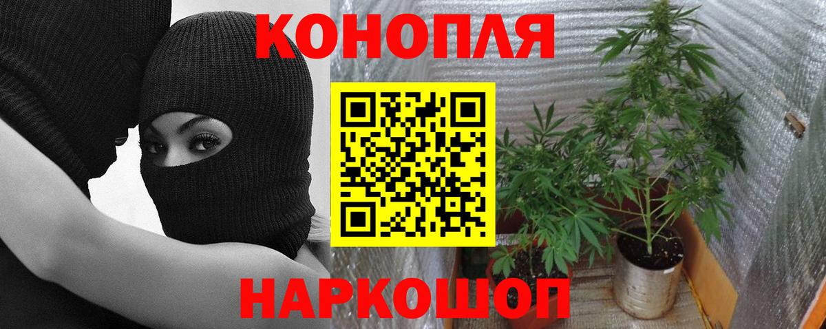 Марихуана тримм  Вход с VPN  Шишки марихуана марихуана  Камень-на-Оби  Каннабис ГИДРОПОН 